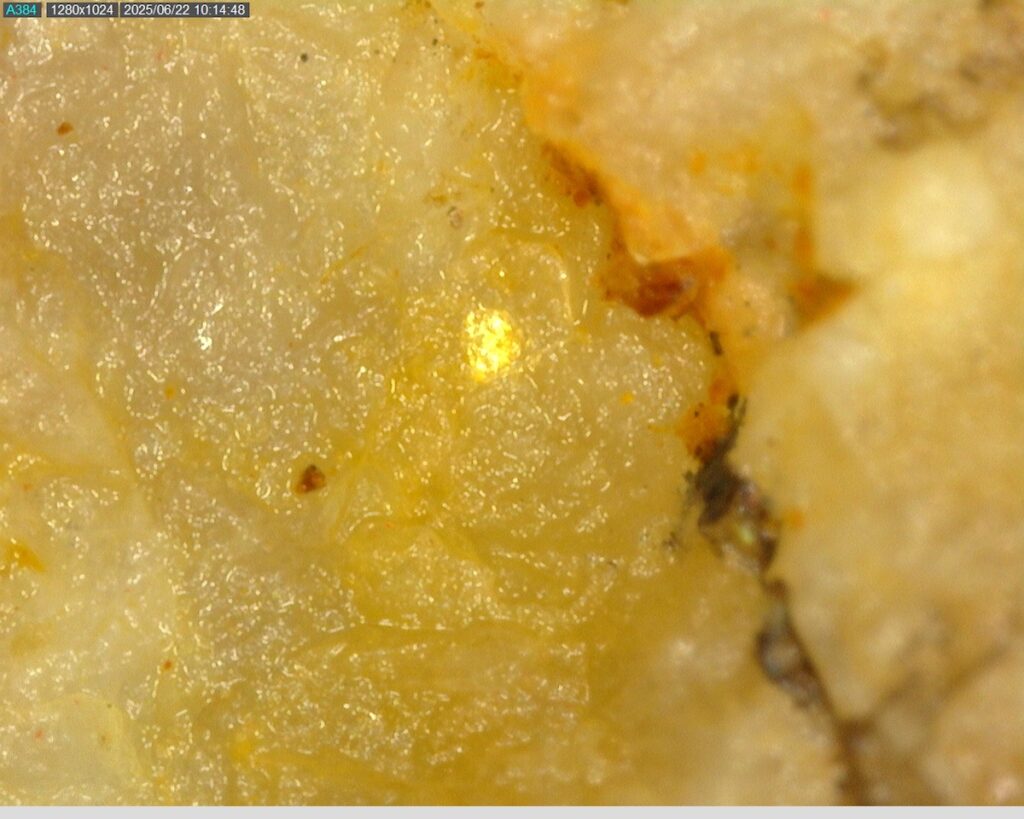 Ddrccc 25 098 32.91m 225x