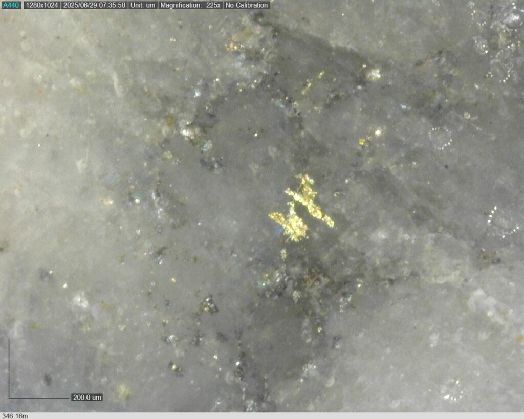 Ddrccc 25 099 Vg At 346.16m 225x 3