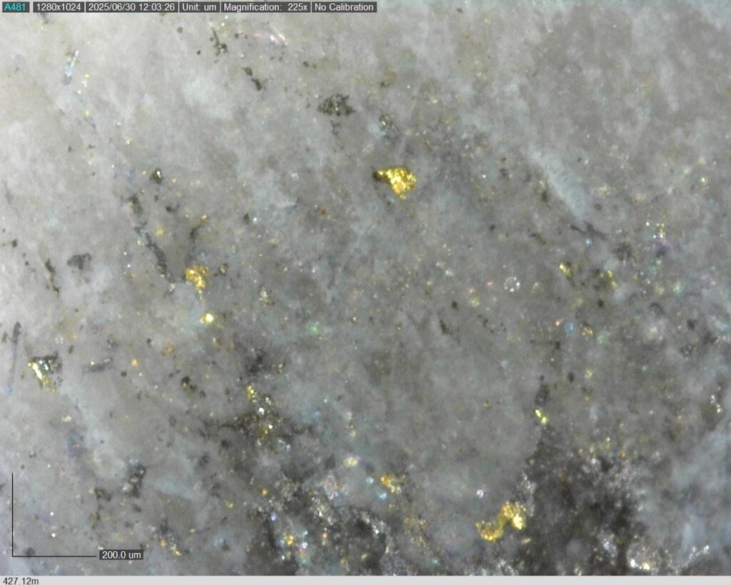 Ddrccc 25 099 Vg At 427.12m 225x 1