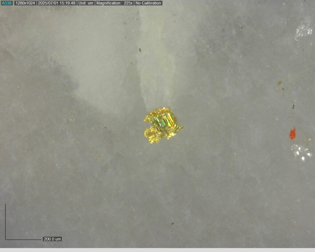 Ddrccc 25 099 Vg At 502.70m 225x 1