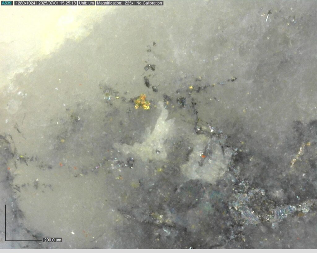 Ddrccc 25 099 Vg At 503.42m 225x 0