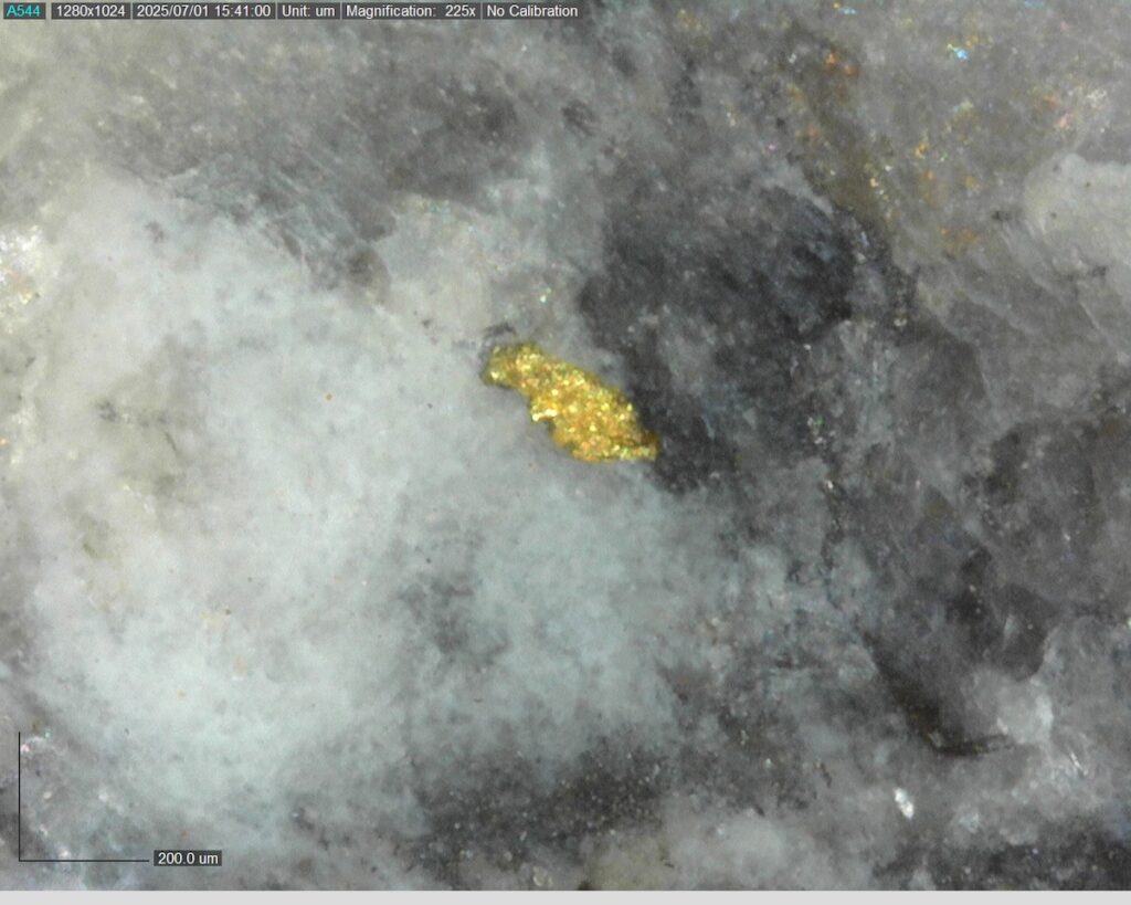 Ddrccc 25 099 Vg At 505.08m 225x 1