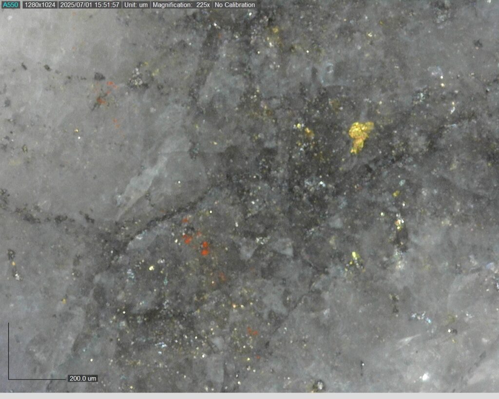 Ddrccc 25 099 Vg At 505.09m 225x 0
