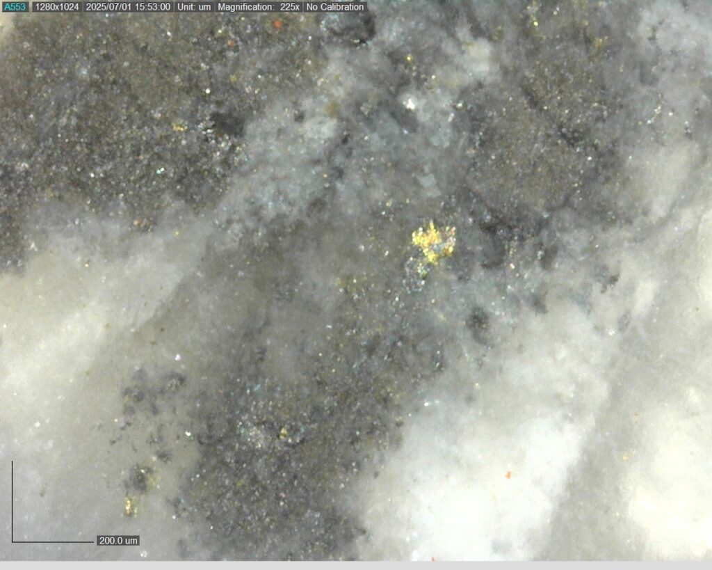 Ddrccc 25 099 Vg At 505.09m 225x 3