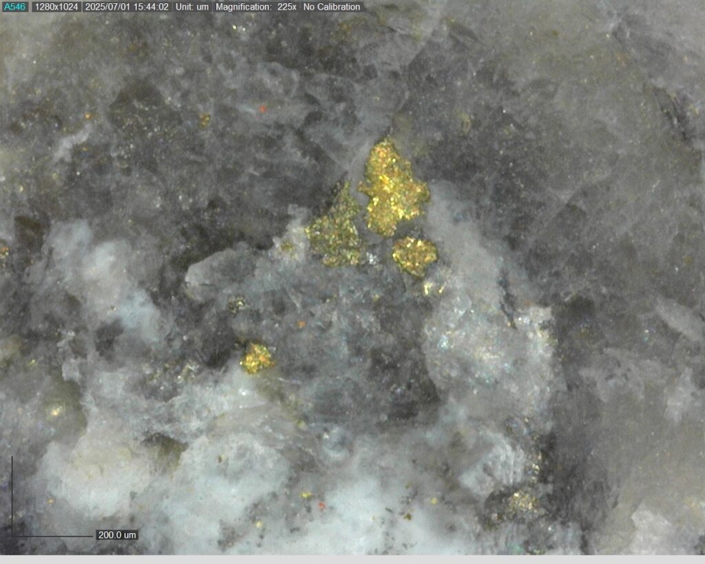 Ddrccc 25 099 Vg At 505.09m 225x 4