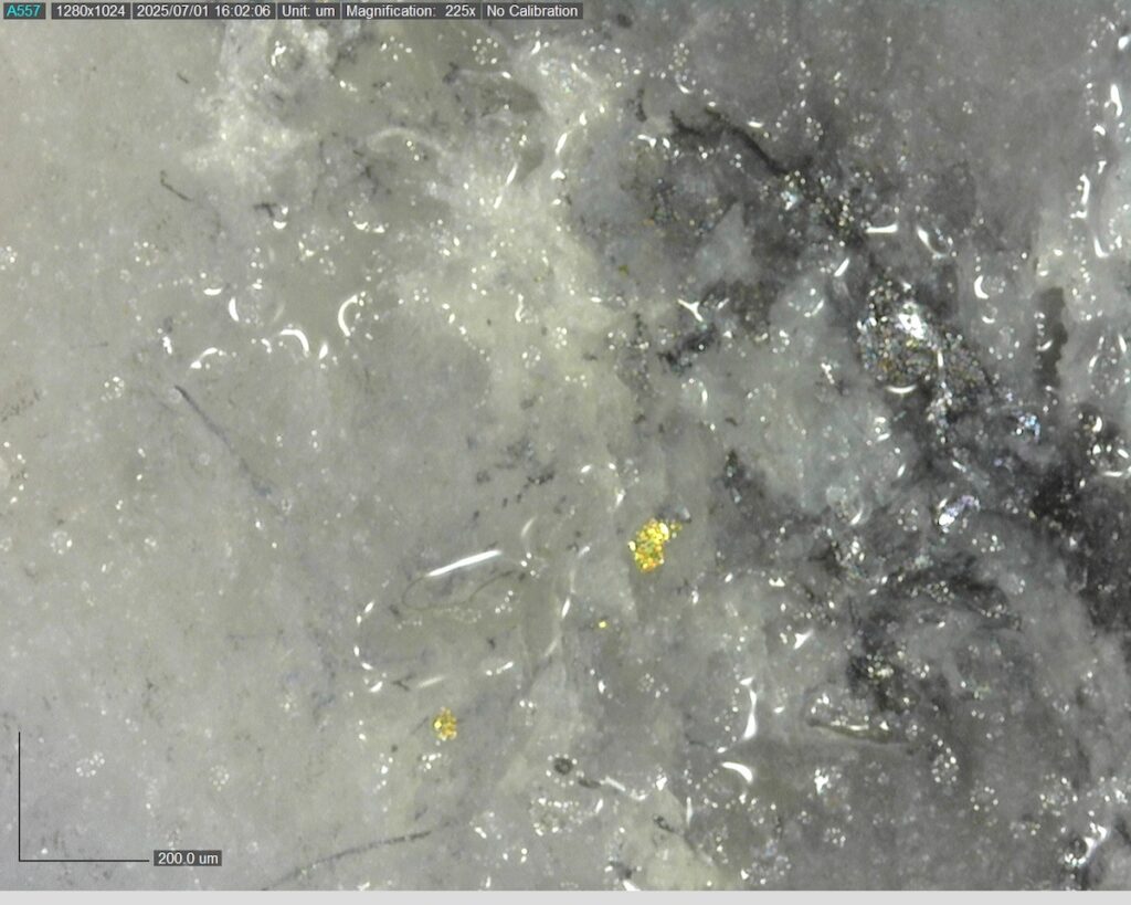 Ddrccc 25 099 Vg At 507.80m 225x 1