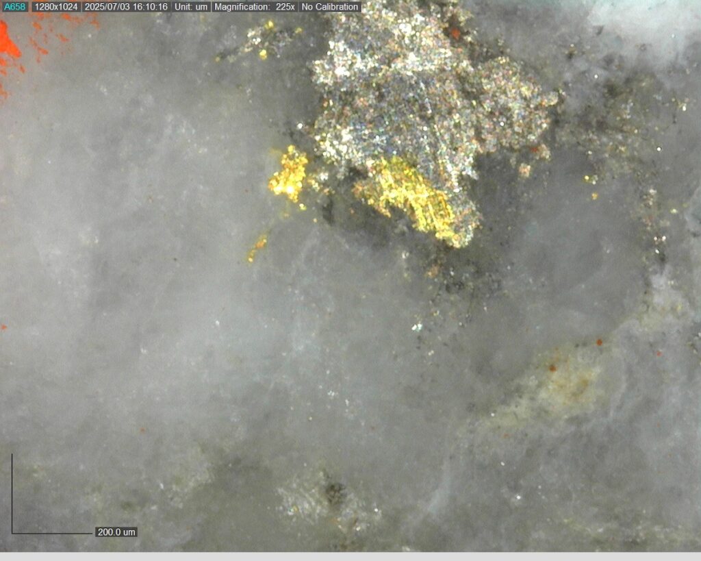 Ddrccc 25 099 Vg At 622.01m 225x 3