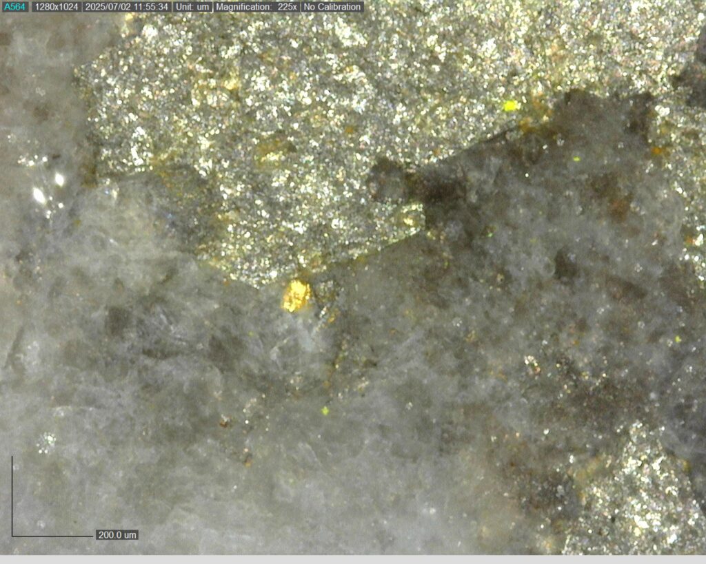 Ddrccc 25 100 Vg At 420.22m 225x