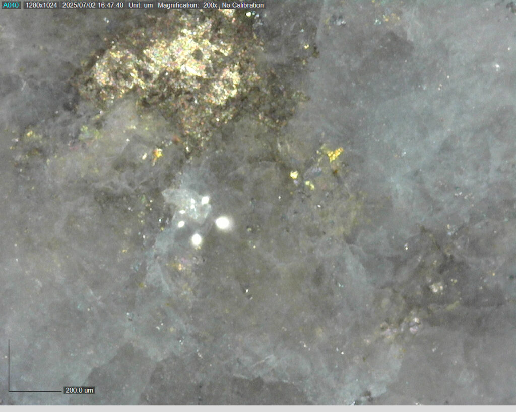 Ddrccc 25 101 295.24m 225x