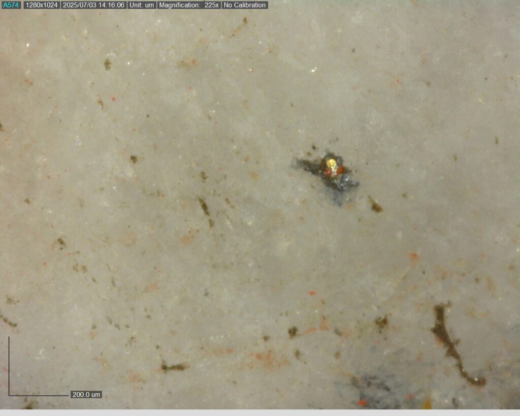 Ddrccc 25 101 310.10m 225x