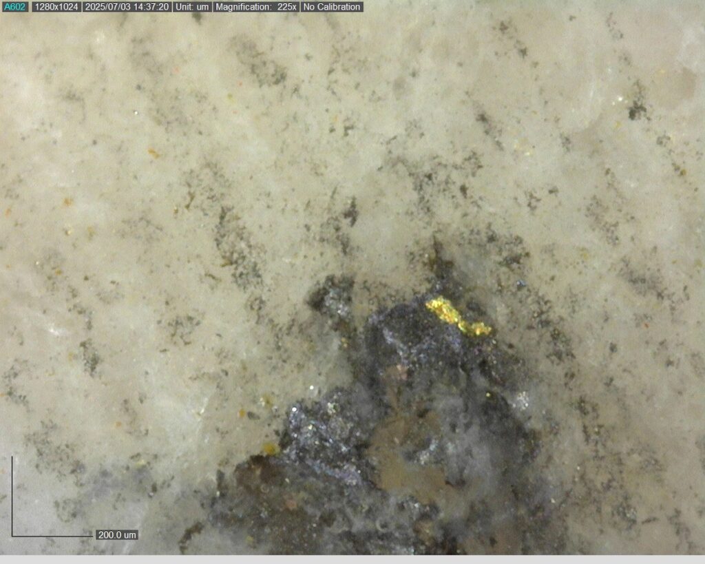 Ddrccc 25 101 331.42m 225x