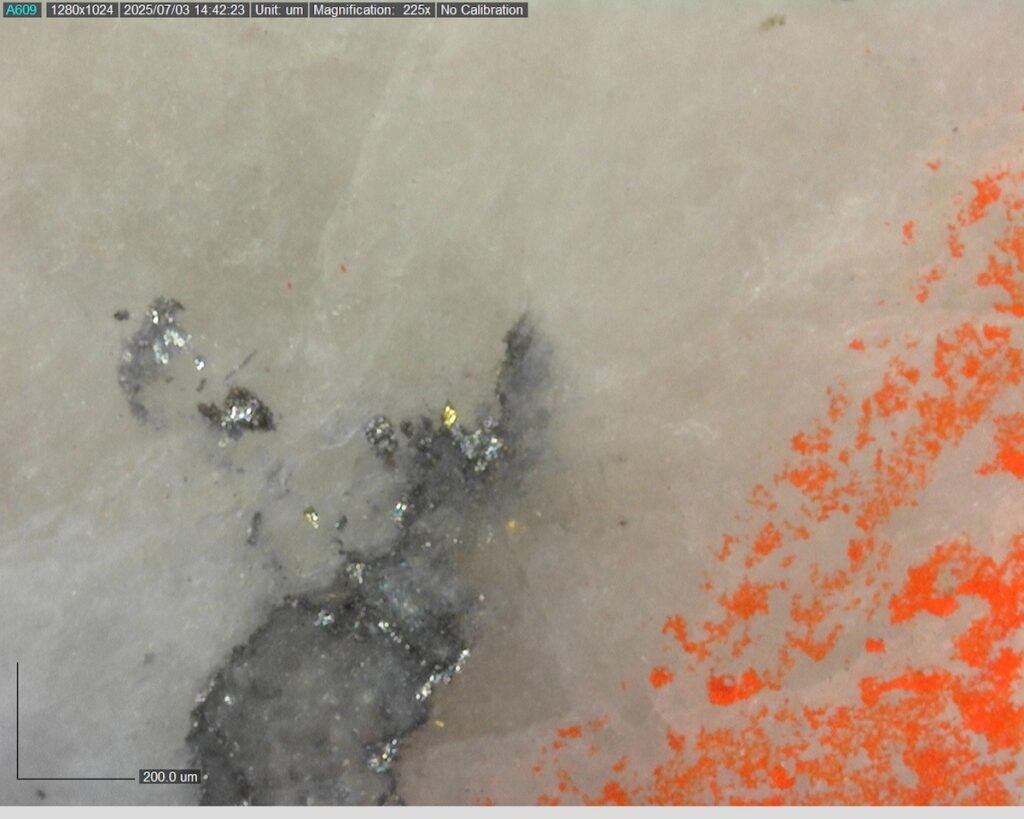 Ddrccc 25 101 338.431m 225x