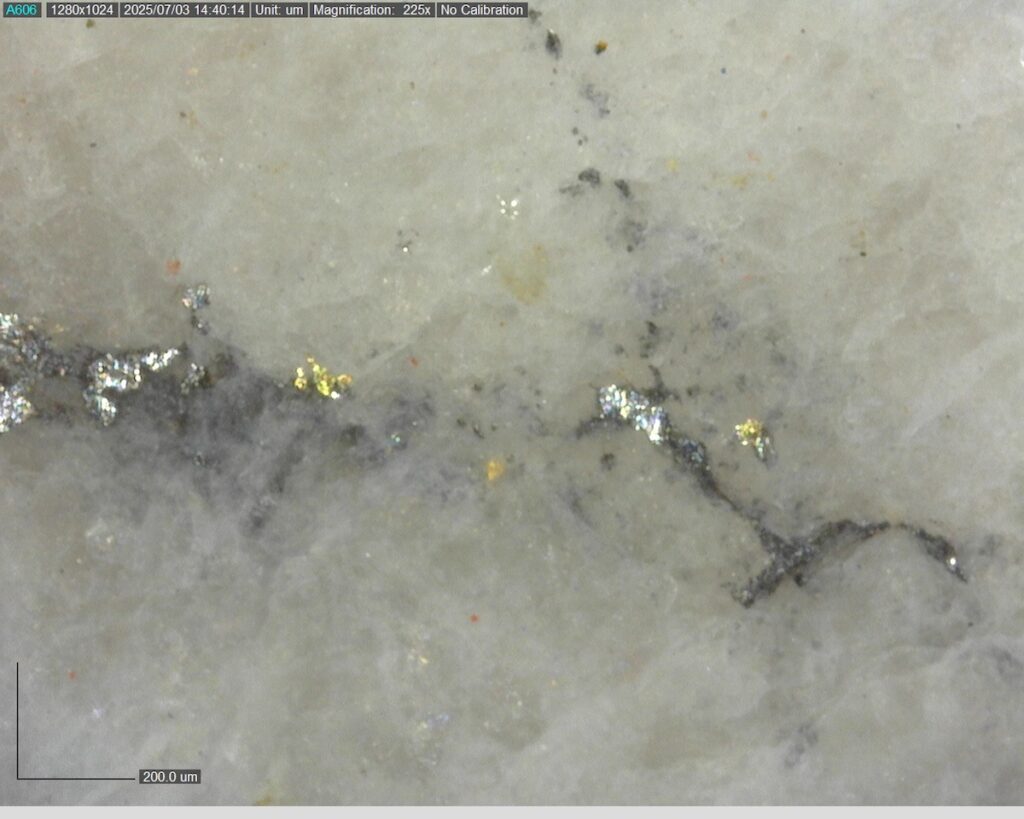 Ddrccc 25 101 338.43m 225x