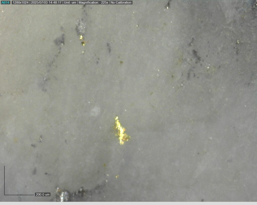 Ddrccc 25 101 338.76m 225x