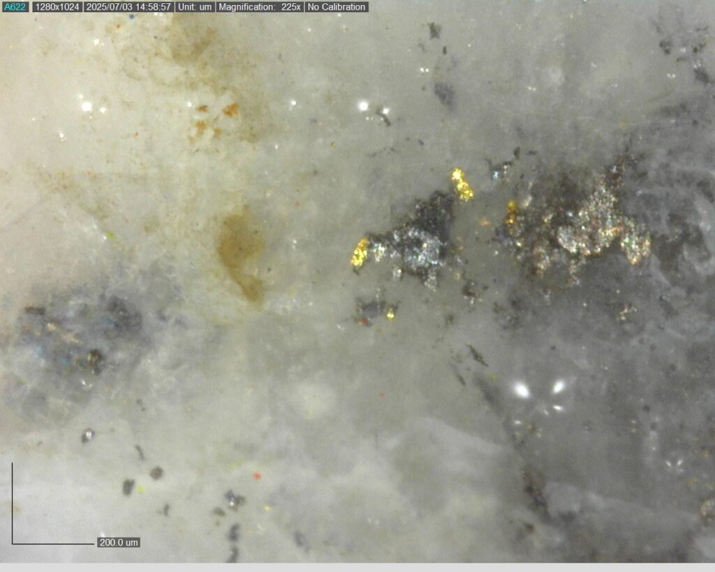 Ddrccc 25 101 343.21m 225x