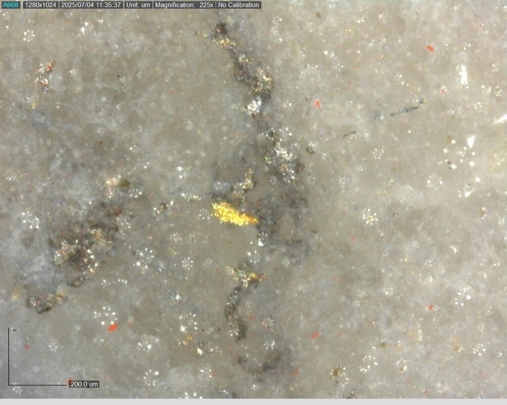 Ddrccc 25 101 394.98m 225x