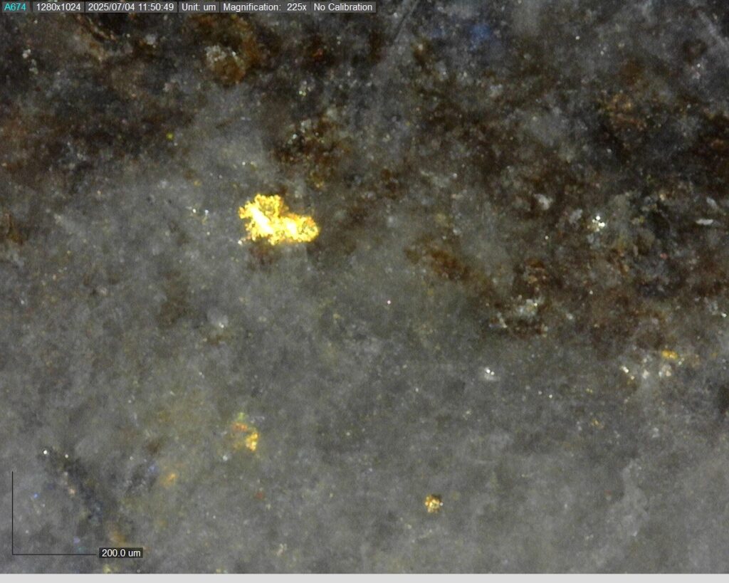 Ddrccc 25 101 423.941m 225x