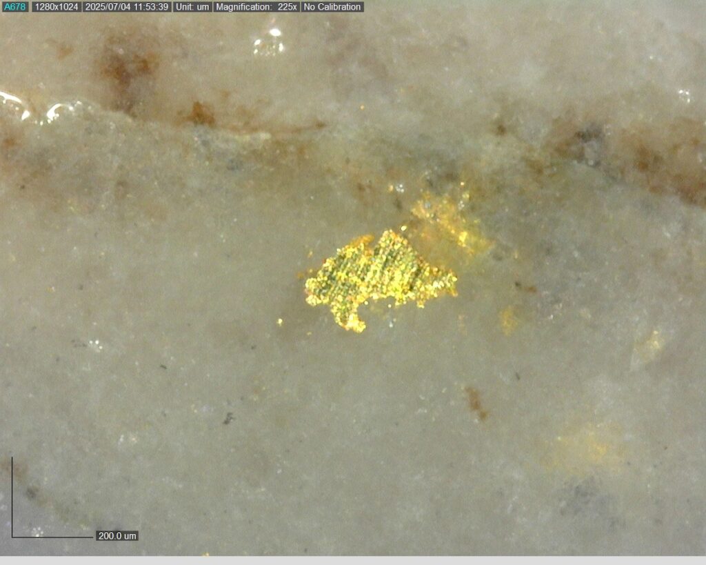 Ddrccc 25 101 423.98m 225x