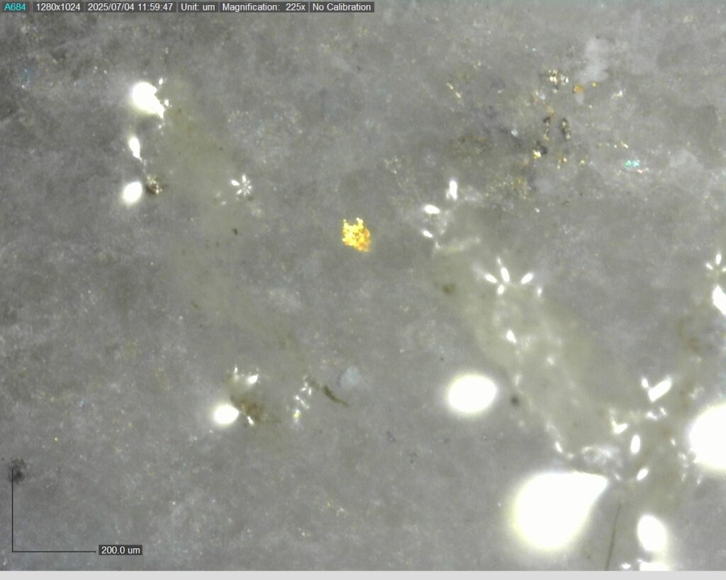 Ddrccc 25 101 424.08m 225x