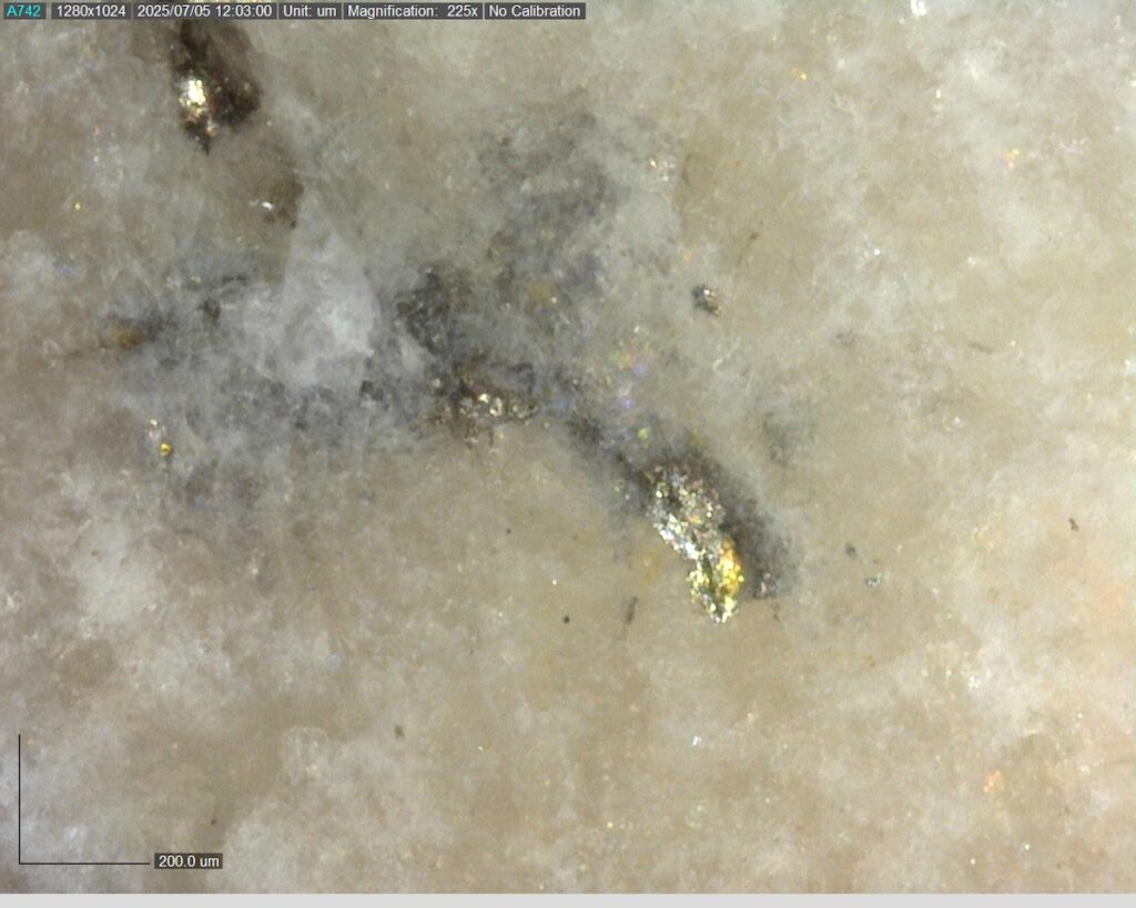 Ddrccc 25 101 488.161m 225x