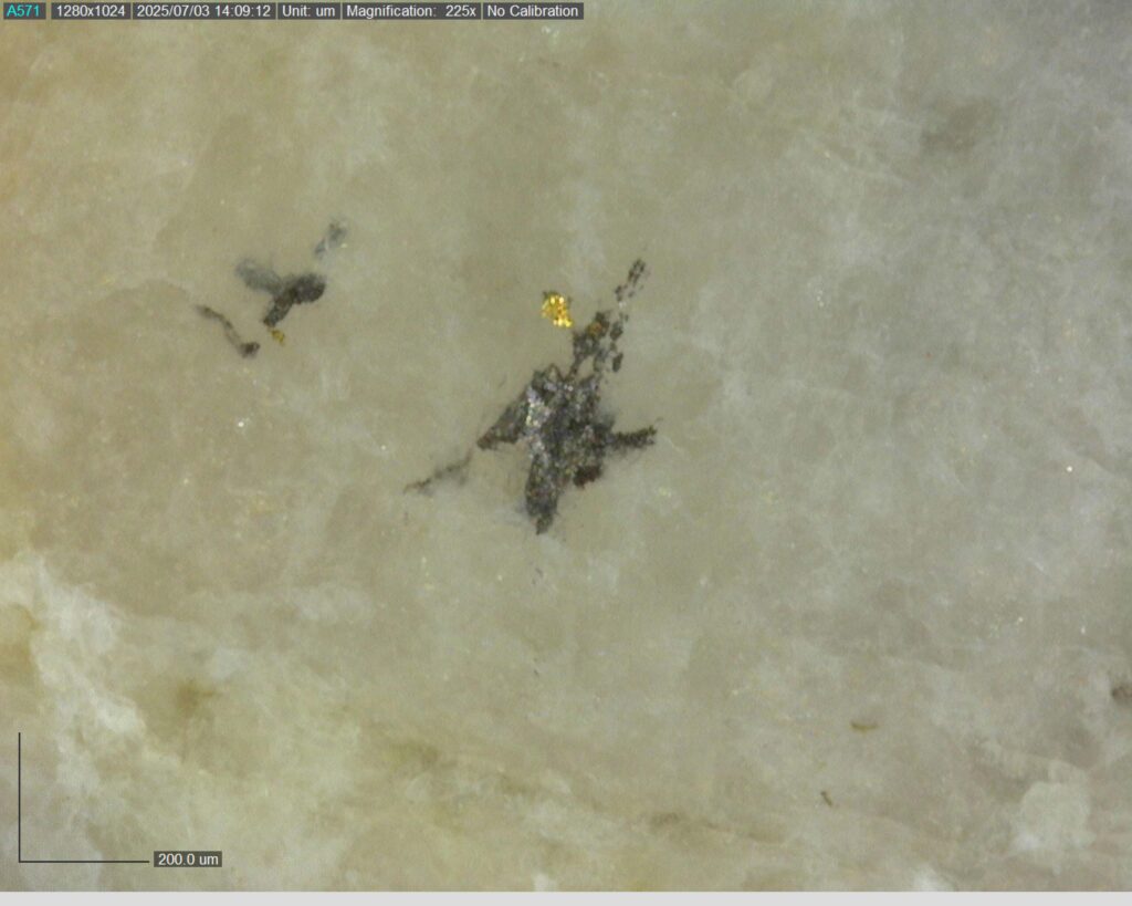 Ddrccc 25 101 Vg At 305.69m 225x