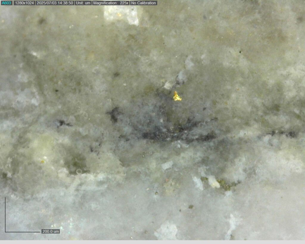 Ddrccc 25 101 Vg At 330.91m 225x