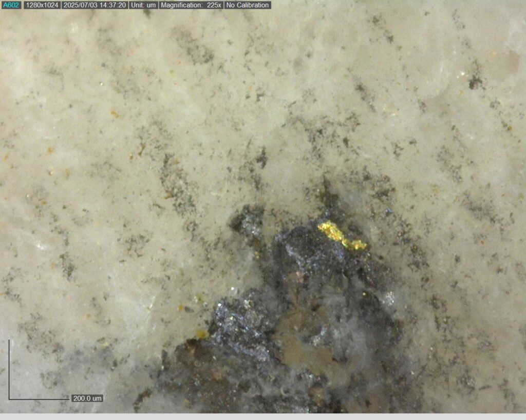 Ddrccc 25 101 Vg At 331.42m 225x