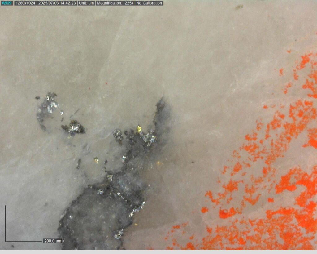 Ddrccc 25 101 Vg At 338.431m 225x