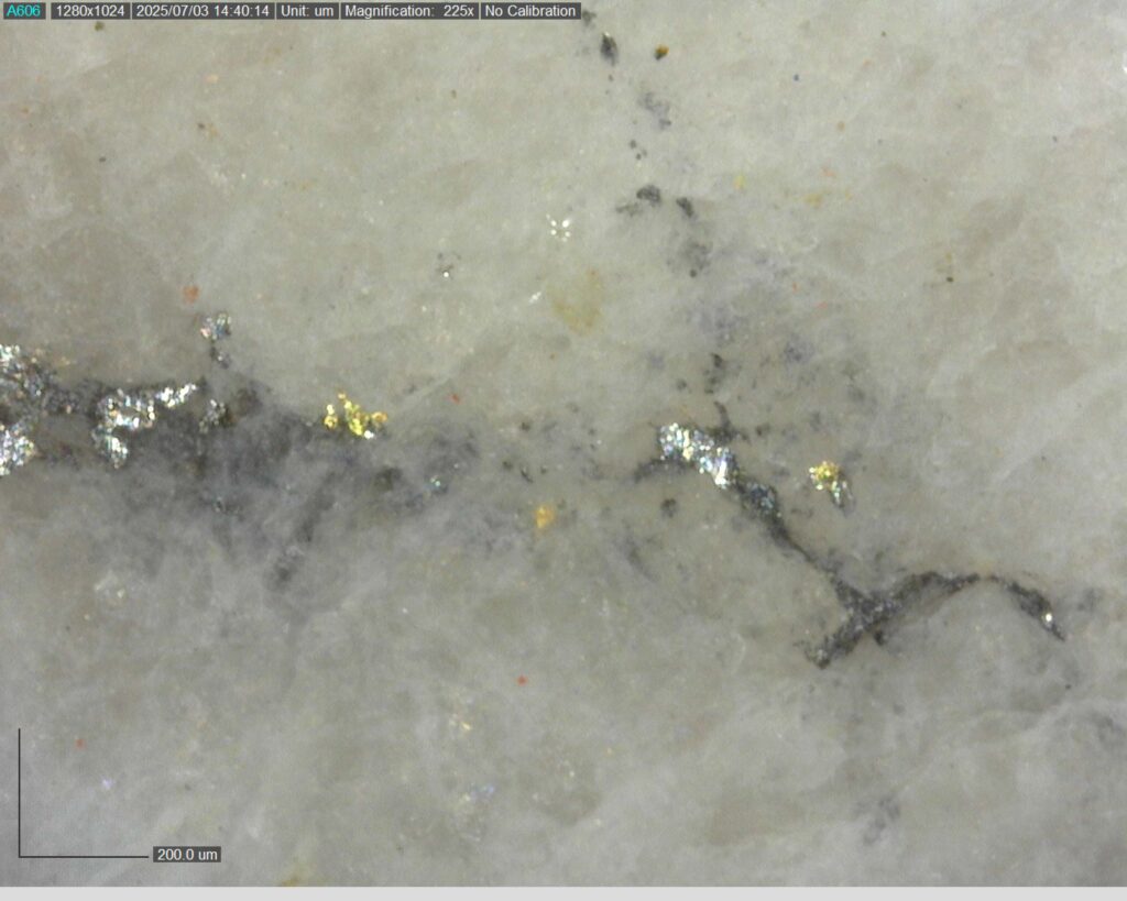 Ddrccc 25 101 Vg At 338.43m 225x