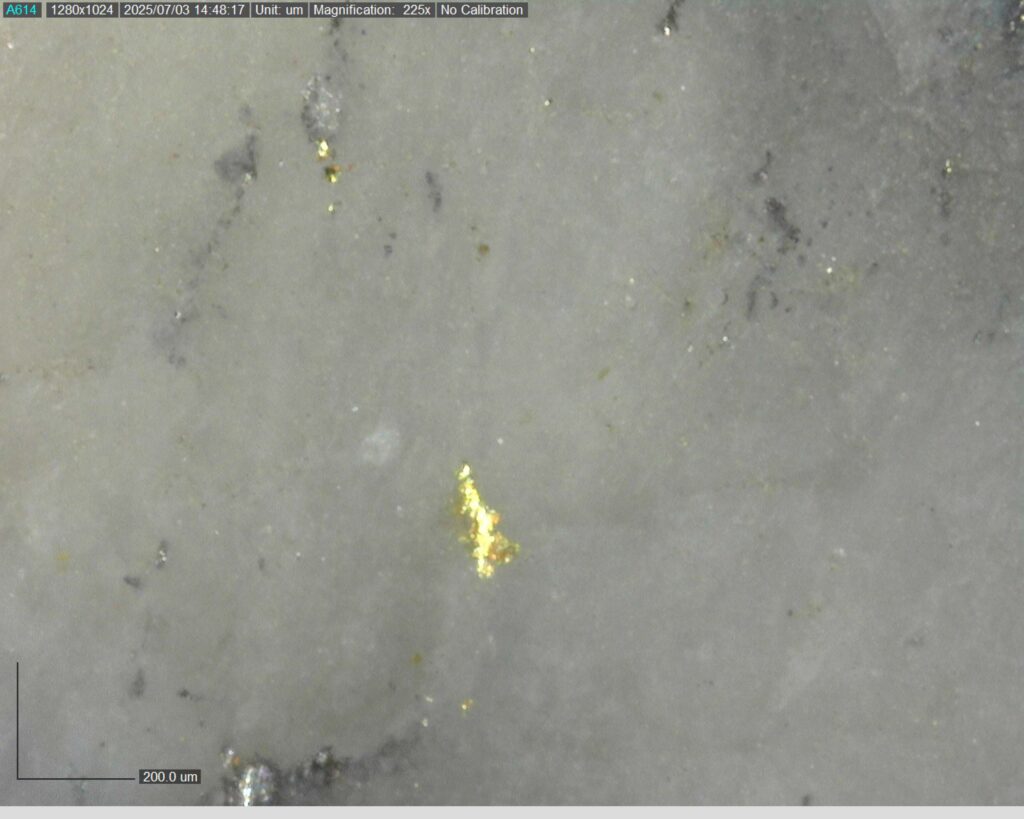 Ddrccc 25 101 Vg At 338.76m 225x