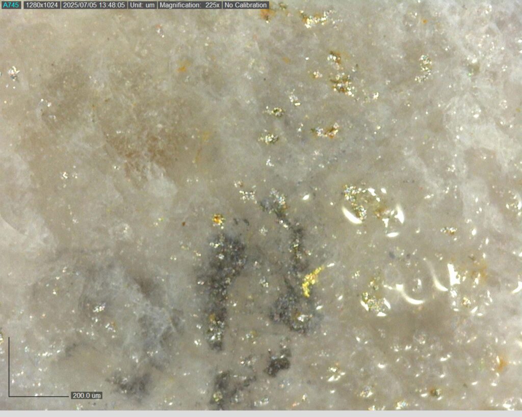 Ddrccc 25 101 Vg At 496.45m 225x