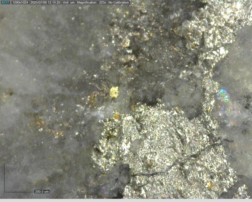 Ddrccc 25 102 Vg At 264pt05m 225x 0