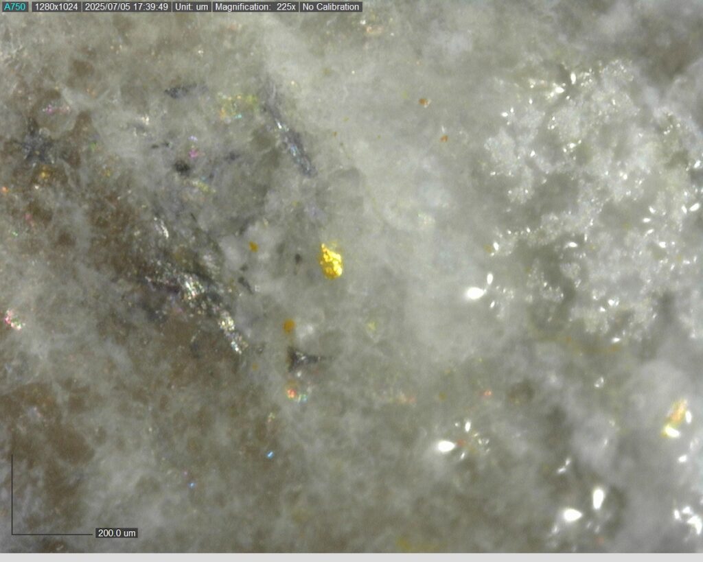 Ddrccc 25 104 21.42m 225x