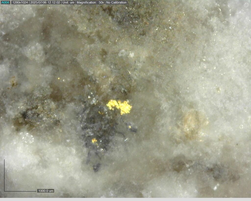 Ddrccc 25 104 45.15m 225x