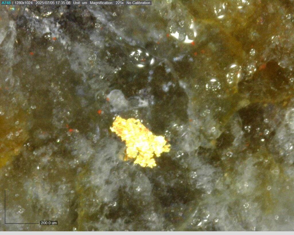 Ddrccc 25 104 Vg At 14.64m 225x