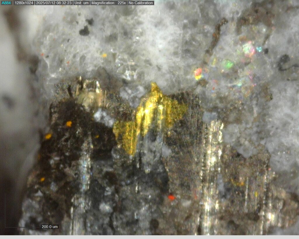 Ddrccc 25 106 Vg At 240.491m 225x