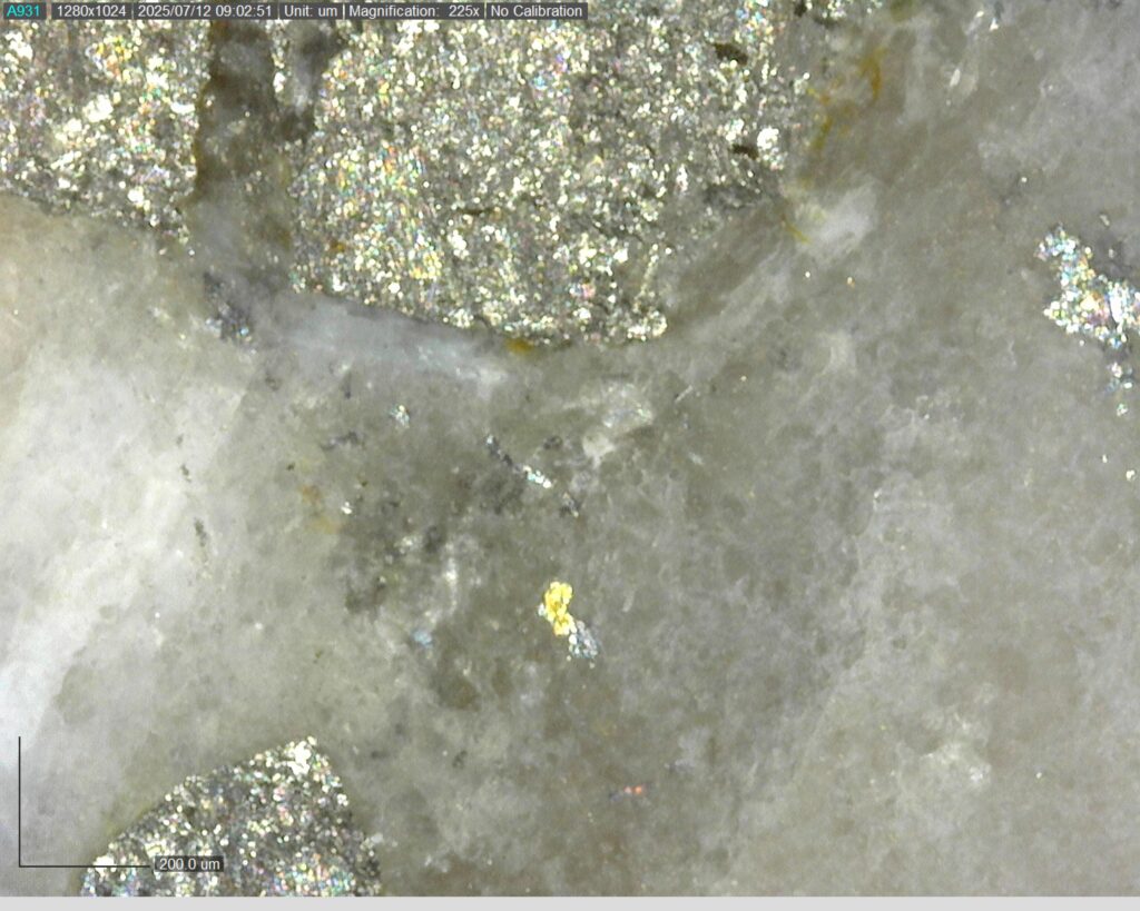 Ddrccc 25 106 Vg At 289.386m 225x