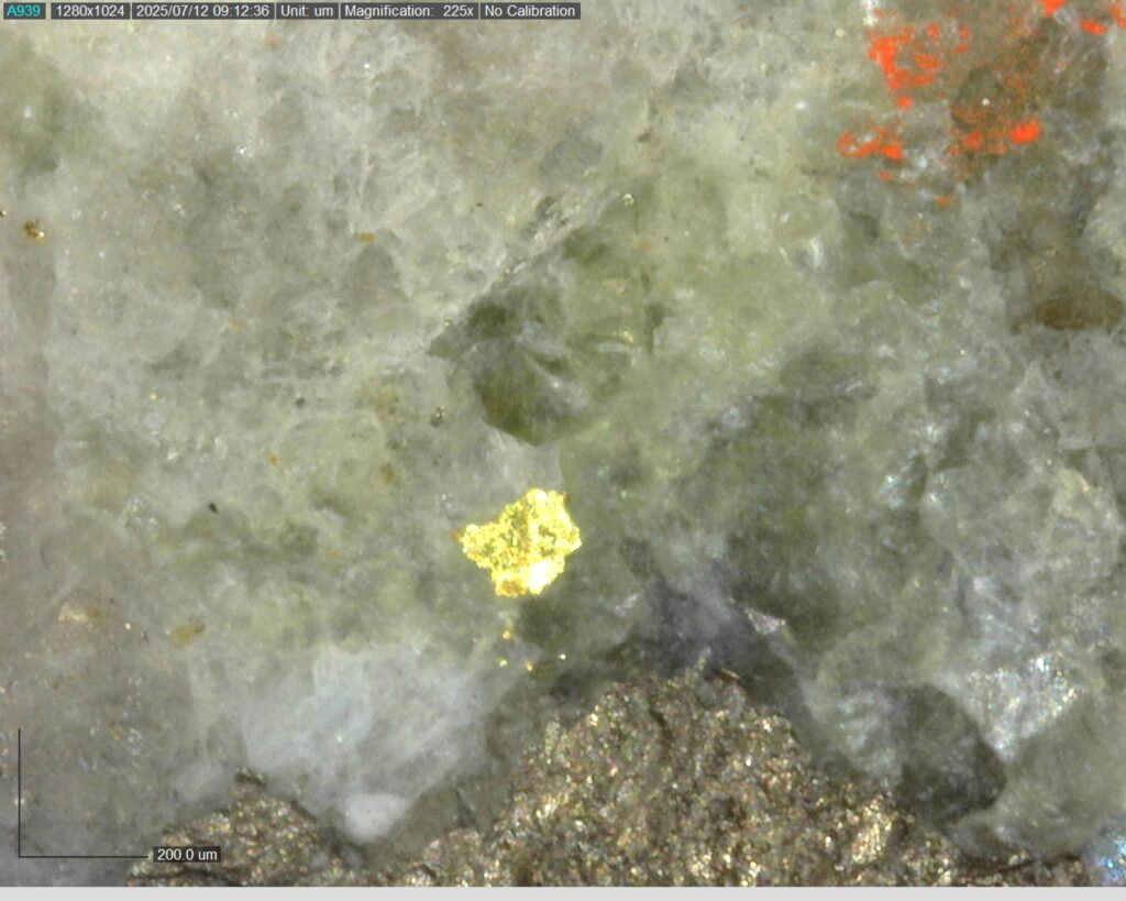 Ddrccc 25 106 Vg At 305.091m 225x