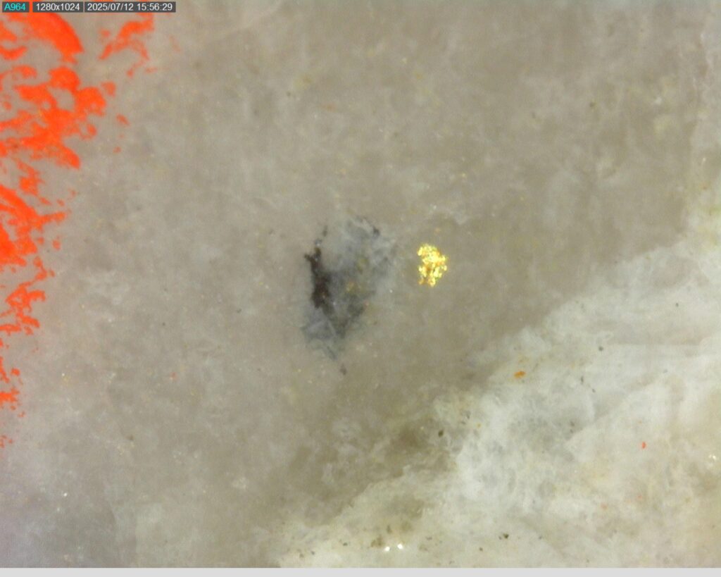 Ddrccc 25 106 Vg At 309.841m 225x