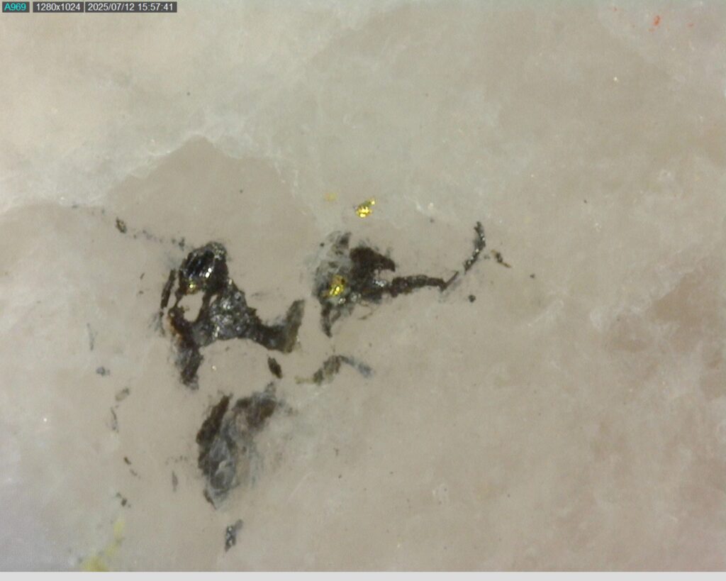 Ddrccc 25 106 Vg At 309.842m 225x