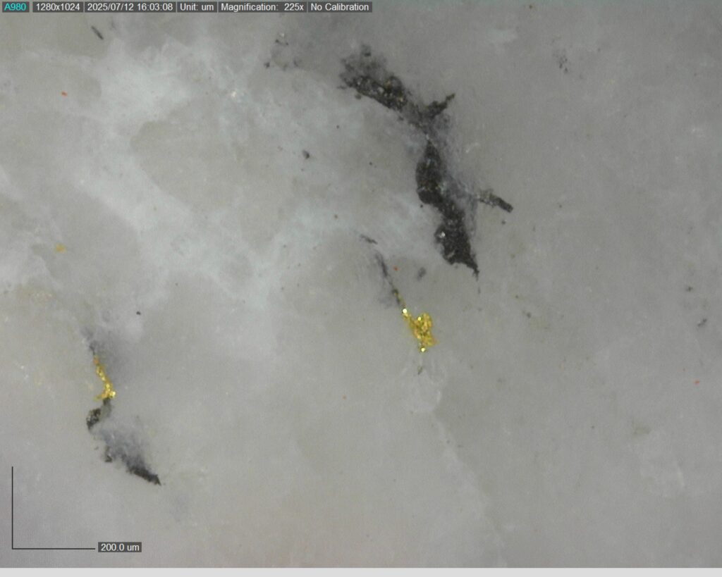 Ddrccc 25 106 Vg At 321.90m 225x