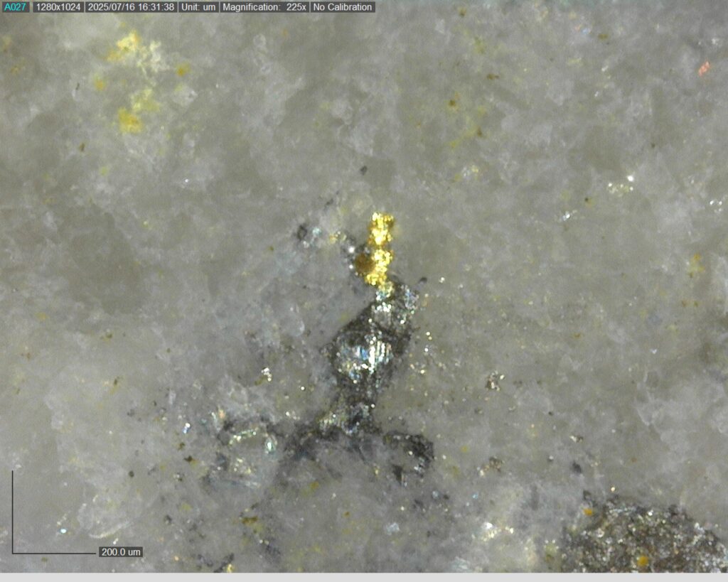 Ddrccc 25 109 225.45m 225x