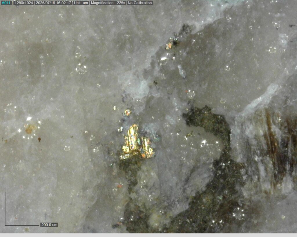 Ddrccc 25 109 244.54m 225x