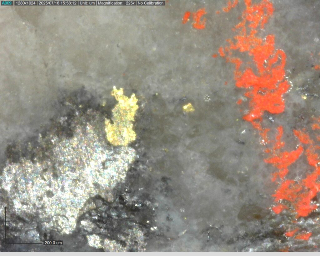 Ddrccc 25 109 260.281m 225x