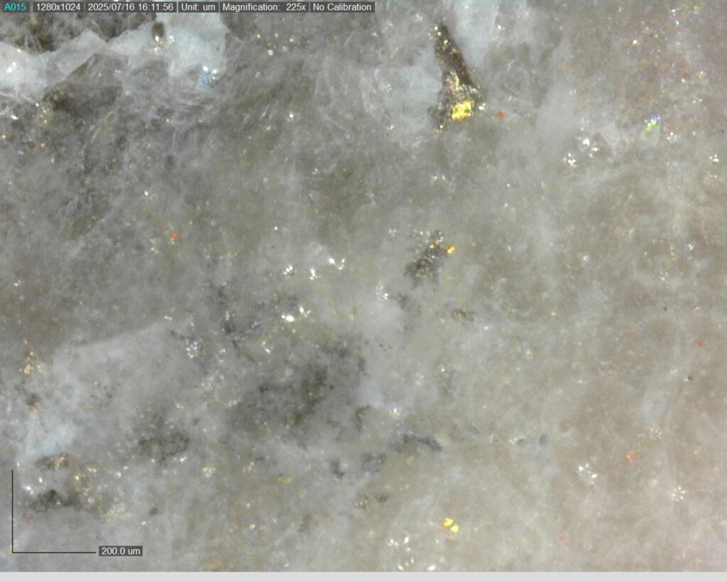 Ddrccc 25 109 290.53m 225x