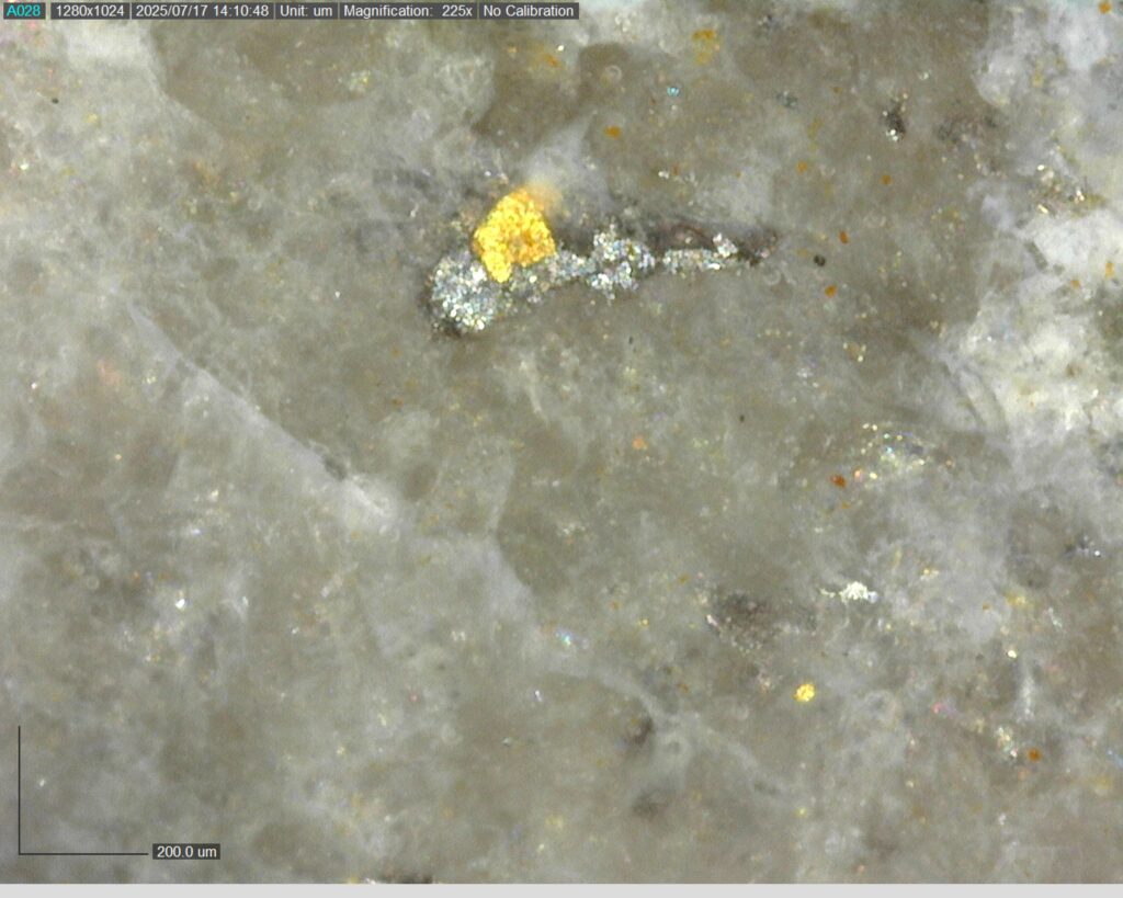 Ddrccc 25 109 Vg At 298.87m 225x