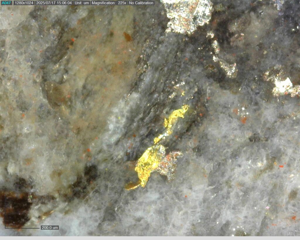 Ddrccc 25 109 Vg At 334.171m 225x