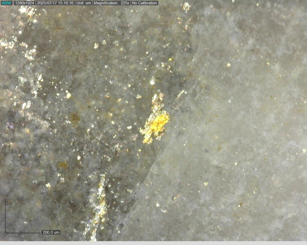 Ddrccc 25 109 Vg At 338.383m 225x