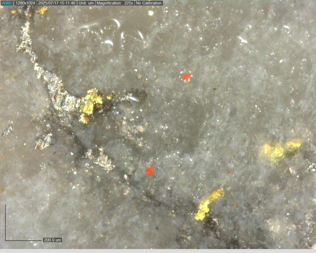 Ddrccc 25 109 Vg At 338.387m 225x