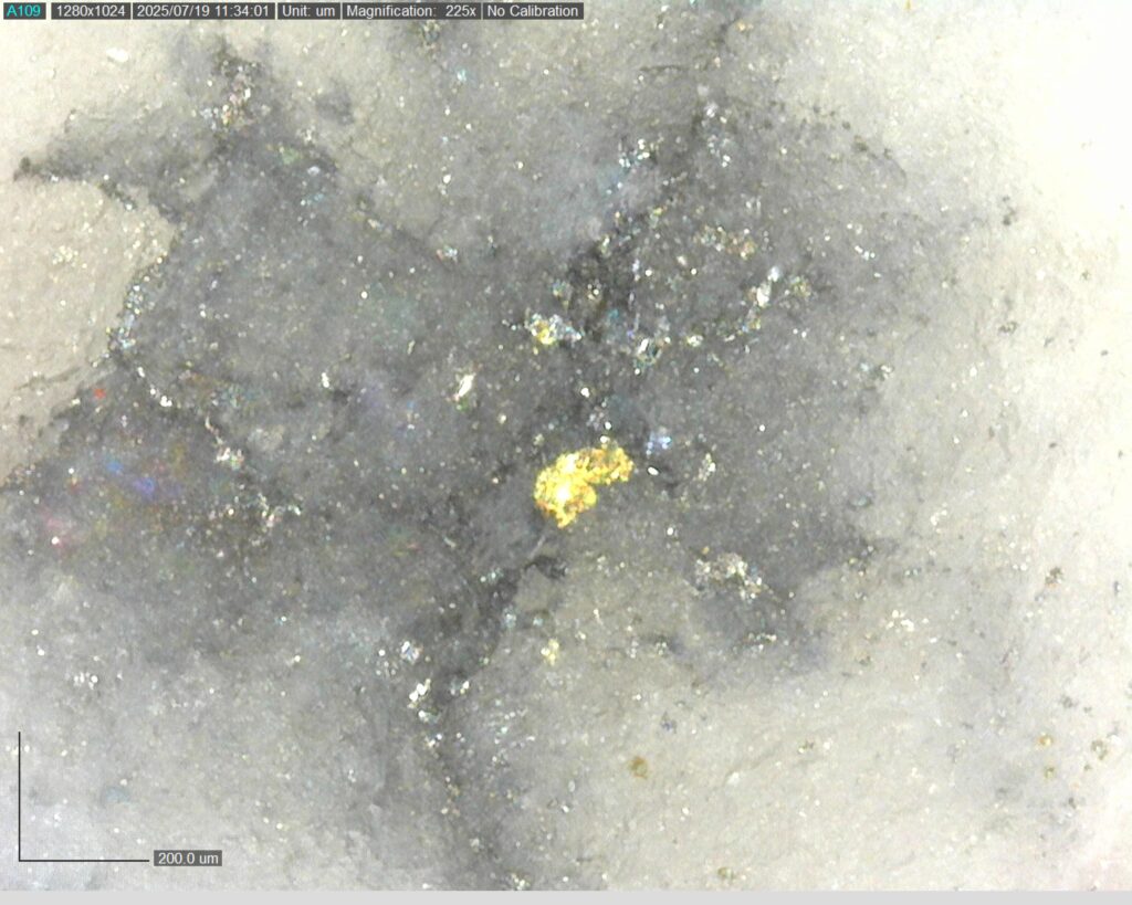 Ddrccc 25 109 Vg At 473.21m 225x